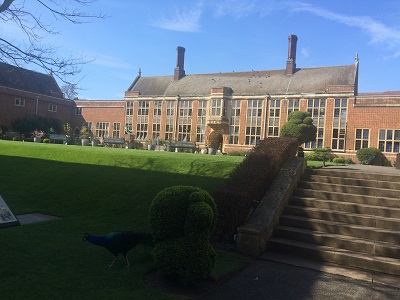 ホイットギフトサマースクール