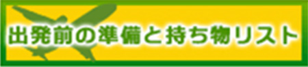 出発前の準備と持ち物リスト